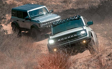 Load image into Gallery viewer, Photo - Mounted