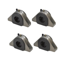 Load image into Gallery viewer, Photo - Primary