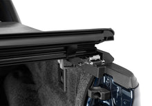 Load image into Gallery viewer, Photo - Close Up