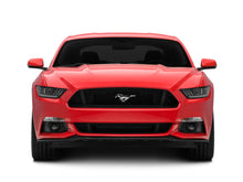 Load image into Gallery viewer, Photo - Close Up