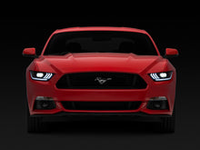 Load image into Gallery viewer, Photo - Close Up