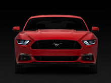 Load image into Gallery viewer, Photo - Close Up