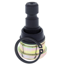 Load image into Gallery viewer, Photo - Primary