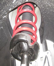 Load image into Gallery viewer, Photo - Primary