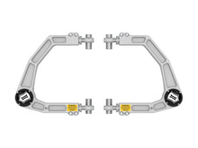 Load image into Gallery viewer, Photo - Primary