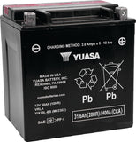 Yuasa YIX30L-BS High Performance Maintenance Free AGM 12-Volt Battery w/Bottle