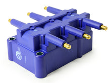 Load image into Gallery viewer, Photo - Primary