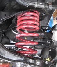 Load image into Gallery viewer, Photo - Primary