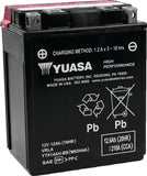 Yuasa YTX14AH-BS High Performance AGM 12-Volt Battery w/Bottle