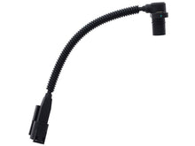 Load image into Gallery viewer, User 1