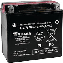 Load image into Gallery viewer, Photo - Primary