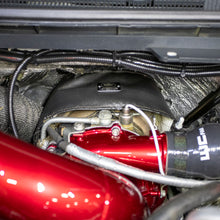 Load image into Gallery viewer, User 1