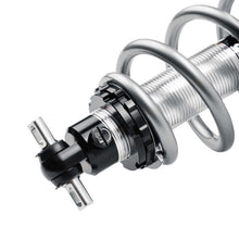 Load image into Gallery viewer, Photo - Close Up