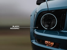 Load image into Gallery viewer, Photo - Close Up