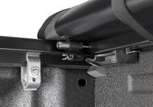 Load image into Gallery viewer, Photo - Close Up